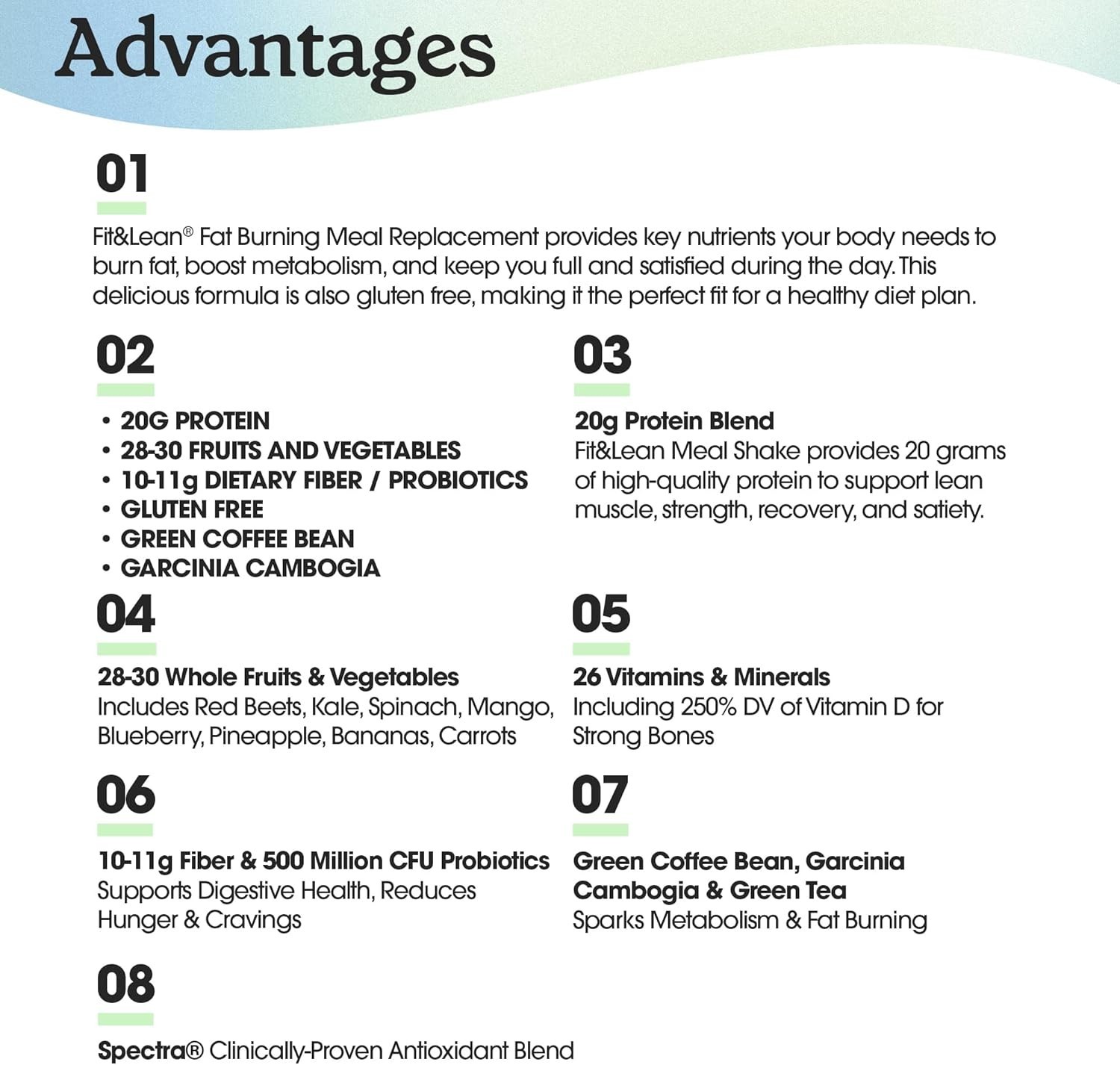 Fortified 16oz Meal Replacement Shake – Supports Metabolism & Digestive Health