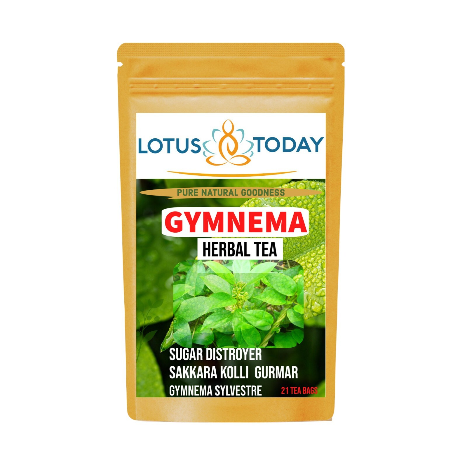 Detox Gurmar leaf Tea (Pack of 3 ) Gymnema Herbal Tea 60 Tea bags