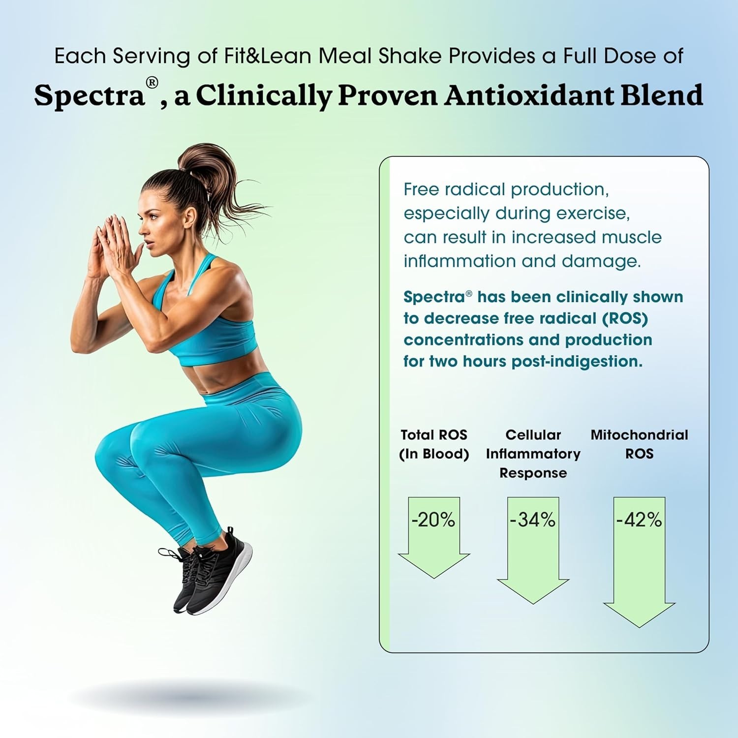 Protein Packed Meal Replacement Shake with Superfoods and 26 Essential Vitamins