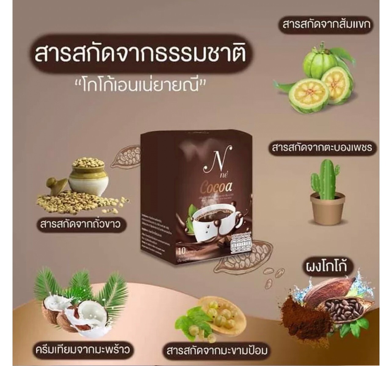 12x N Ne Cocoa Instant Mix Drink Slimming Sugar-Free Loss Weight Control Hunger