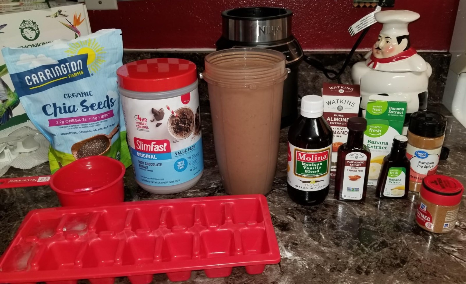 10g Protein French Vanilla Meal Replacement Shake – Nutrient-Rich 22 Servings