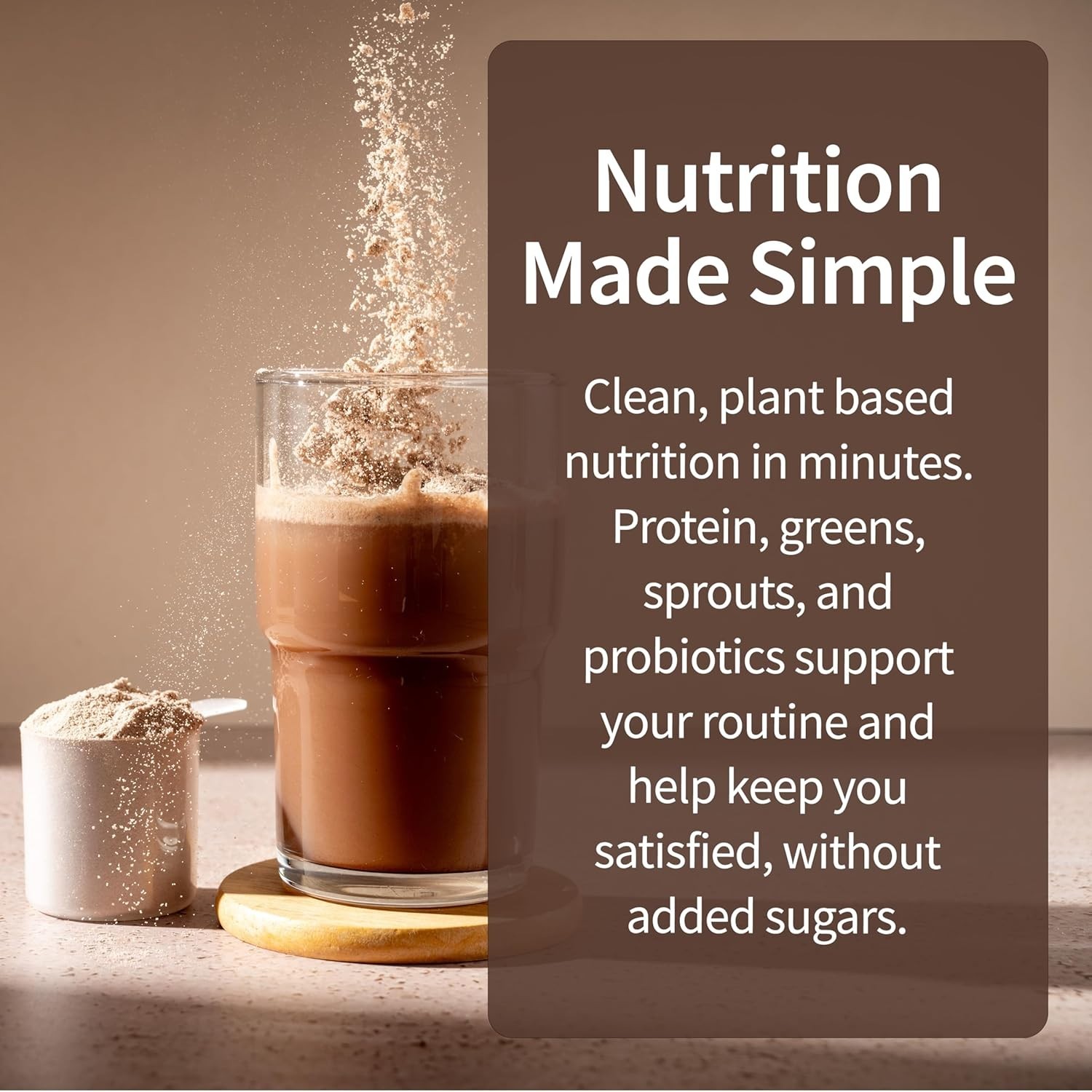 Meal Replacement Shakes, Raw Organic, Chocolate Protein Powder with Plant Base