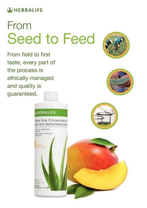 Herbal Aloe Concentrate Drink Flavor Mango Flavor
