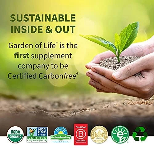 Raw Meal Organic Shake & Meal Replacement Vanilla 1050 g / 2 lb Each (Pack of 3)